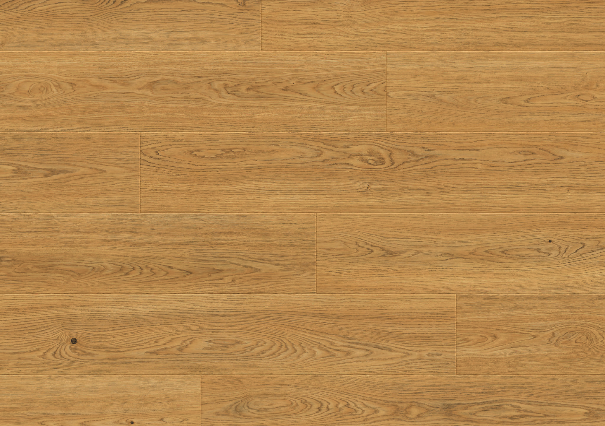 Cappuccino oak
