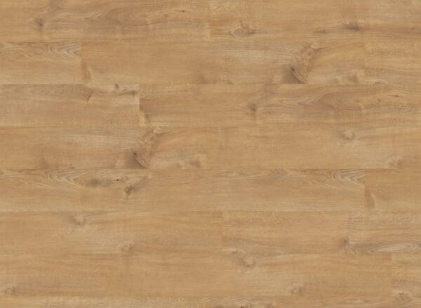 Sherwood Oak