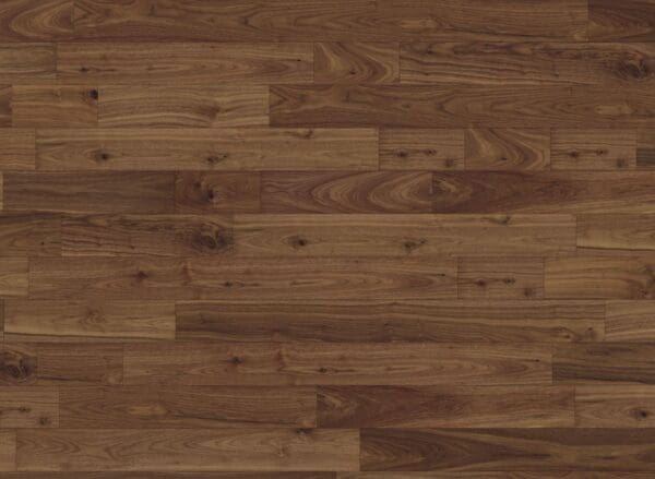 American Black Walnut 127