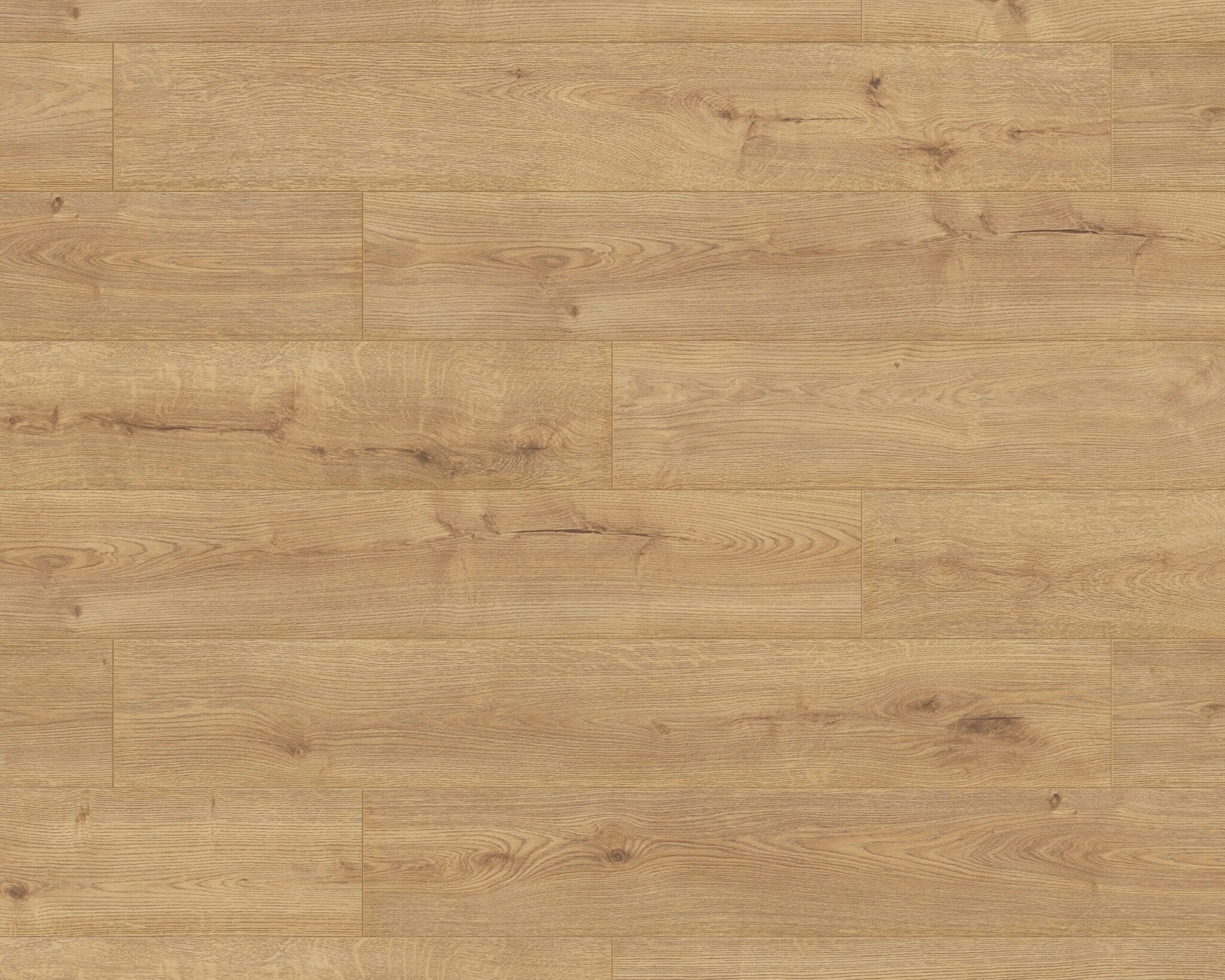 Sundance Oak