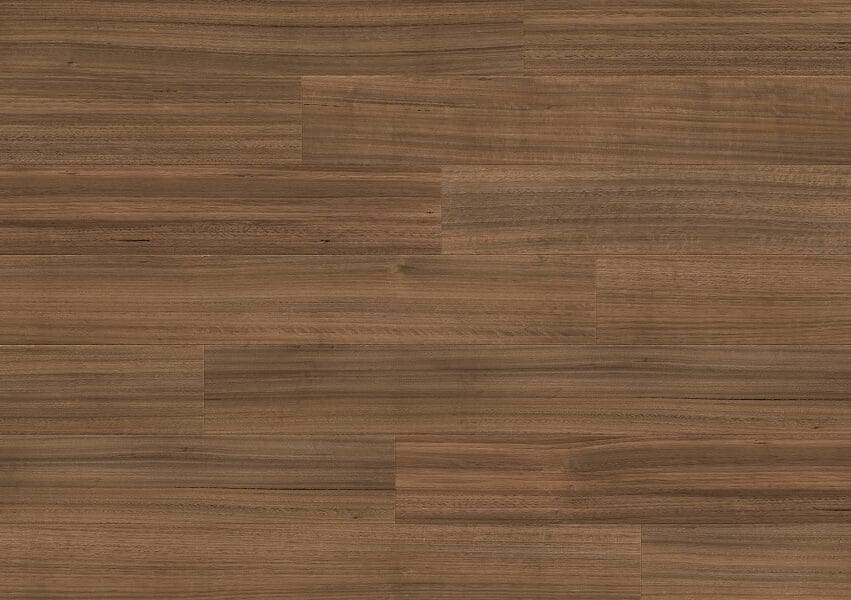 Tasmanian Oak