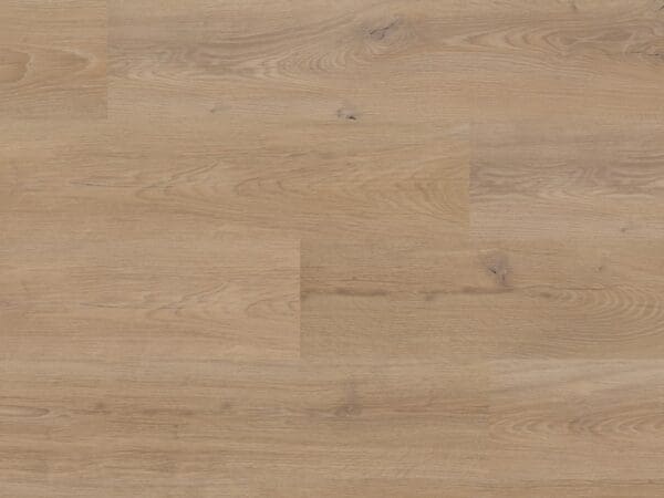 Sahara Oak