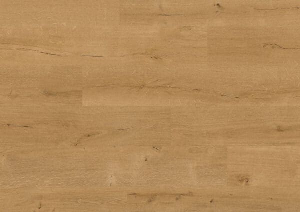 Natural Forest Oak