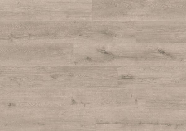 White Scottish Oak