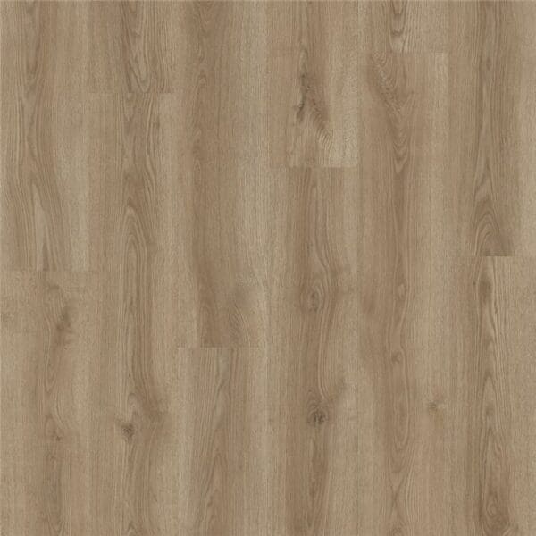Brownish Swamp Oak