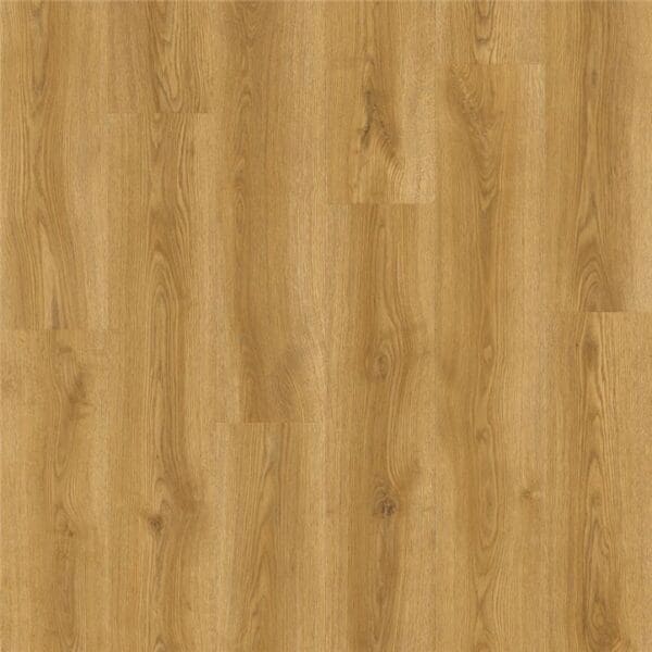 Warm Swamp Oak