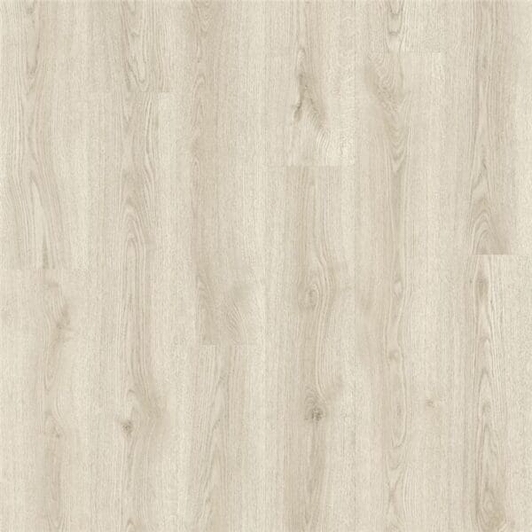 White Swamp Oak