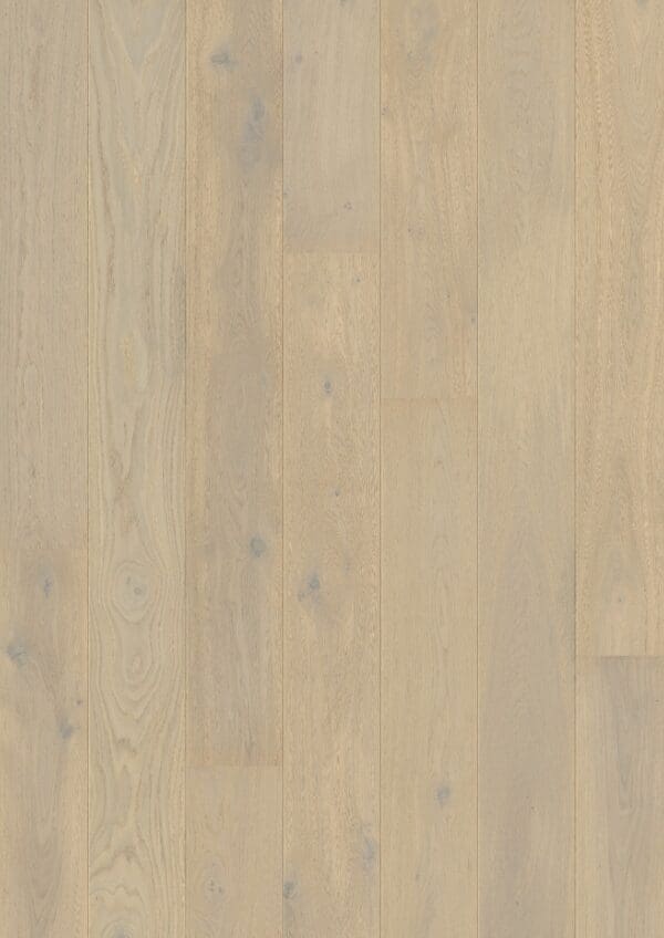 Lapland Oak
