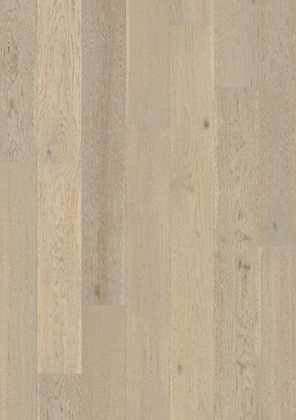 Harbourside Oak