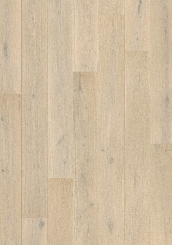 Northern Light Oak